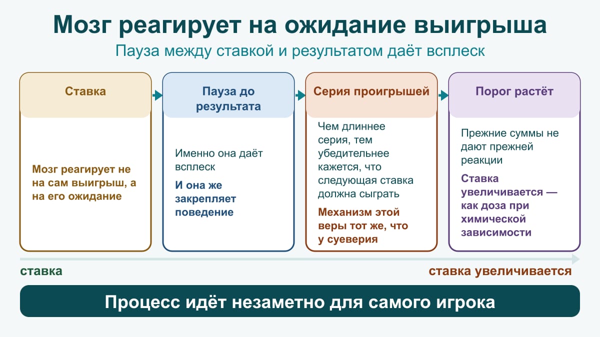 Схема механизма лудомании: ожидание результата даёт всплеск, серия проигрышей убеждает «следующая сыграет», порог растёт и ставка увеличивается